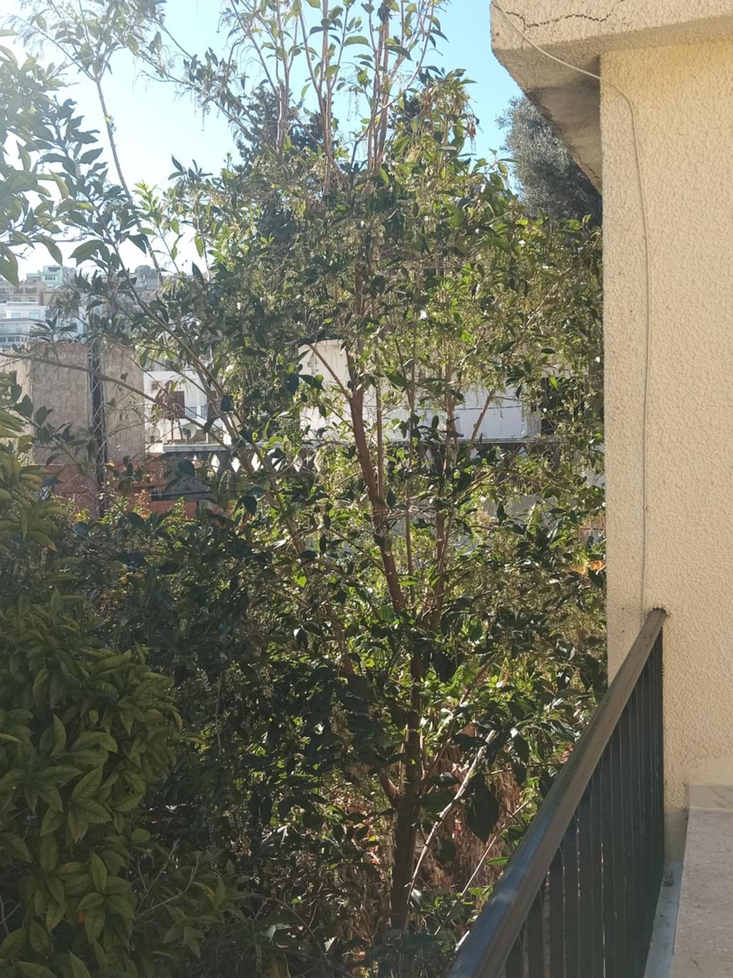 Maison De Vacances Tabarka Zewnętrze zdjęcie